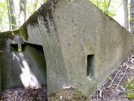 Ligne Maginot - TAUBRUNNENWALD 1 - (Blockhaus pour arme infanterie) - 