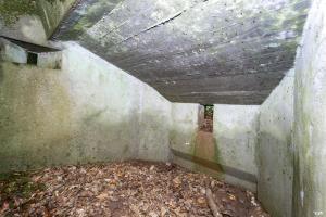 Ligne Maginot - TAUBRUNNENWALD 1 - (Blockhaus pour arme infanterie) - 