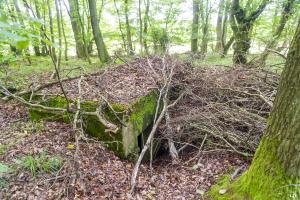Ligne Maginot - TAUBRUNNENWALD 5 - (Blockhaus pour arme infanterie) - 