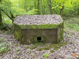 Ligne Maginot - M1B - TAUBRUNNENWALD - (Blockhaus pour arme infanterie) - 