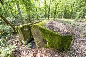 Ligne Maginot - M1B - TAUBRUNNENWALD - (Blockhaus pour arme infanterie) - 