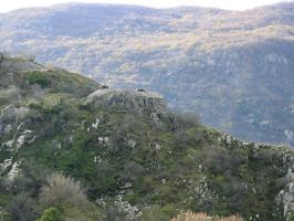 Ligne Maginot - CASTILLON (CN) - EO8 - (Ouvrage d'artillerie) - Bloc 4