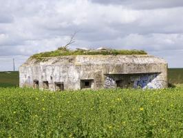 Ligne Maginot - B172 - PURGATOIRE - (Blockhaus pour canon) - 