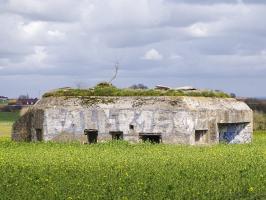 Ligne Maginot - B172 - PURGATOIRE - (Blockhaus pour canon) - 