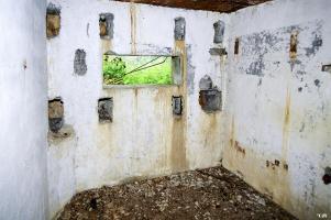 Ligne Maginot - 47 - SOULCE-CERNAY - (Blockhaus pour canon) - Créneau pour canon