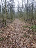 Ligne Maginot - RURANGE - (Depot du Génie) - Voie ferrée donnant vers le dépôt.