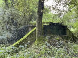 Ligne Maginot - VF60 - ANTENNE DE L'OUVRAGE DE SCHOENENBOURG - (RESEAU - Voie 60 - Antenne ou rocade ferroviaire) - 22 - PONT sur le BIRLENBAECHEL
Le pont vu coté Soultz. Le talus a été supprimé par l'agriculteur
