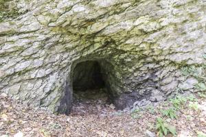 Ligne Maginot - O59 - SAXEL CENTRE - (Abri) - Entrée sud
