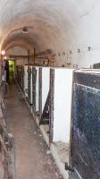 Ligne Maginot - RIMPLAS (RS) - (Ouvrage d'artillerie) - 