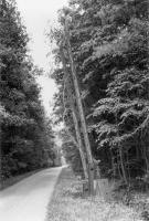 Ligne Maginot - 227 - (Barrage de Route) - 