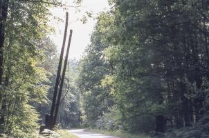 Ligne Maginot - 227 - (Barrage de Route) - 