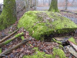Ligne Maginot - ROHRWALD OUEST - (Blockhaus pour arme infanterie) - La dalle du blockhaus et ce qui reste de l'entrée.