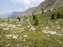 Ligne Maginot - VALLON DE SANGUINIERE - (Cuve pour arme d'infanterie) - L'accès par la piste militaire. 