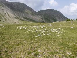 Ligne Maginot - VALLON DE SANGUINIERE - (Cuve pour arme d'infanterie) - Cercle rempli de pierres avec au milieu une petite construction ressemblant à un four.