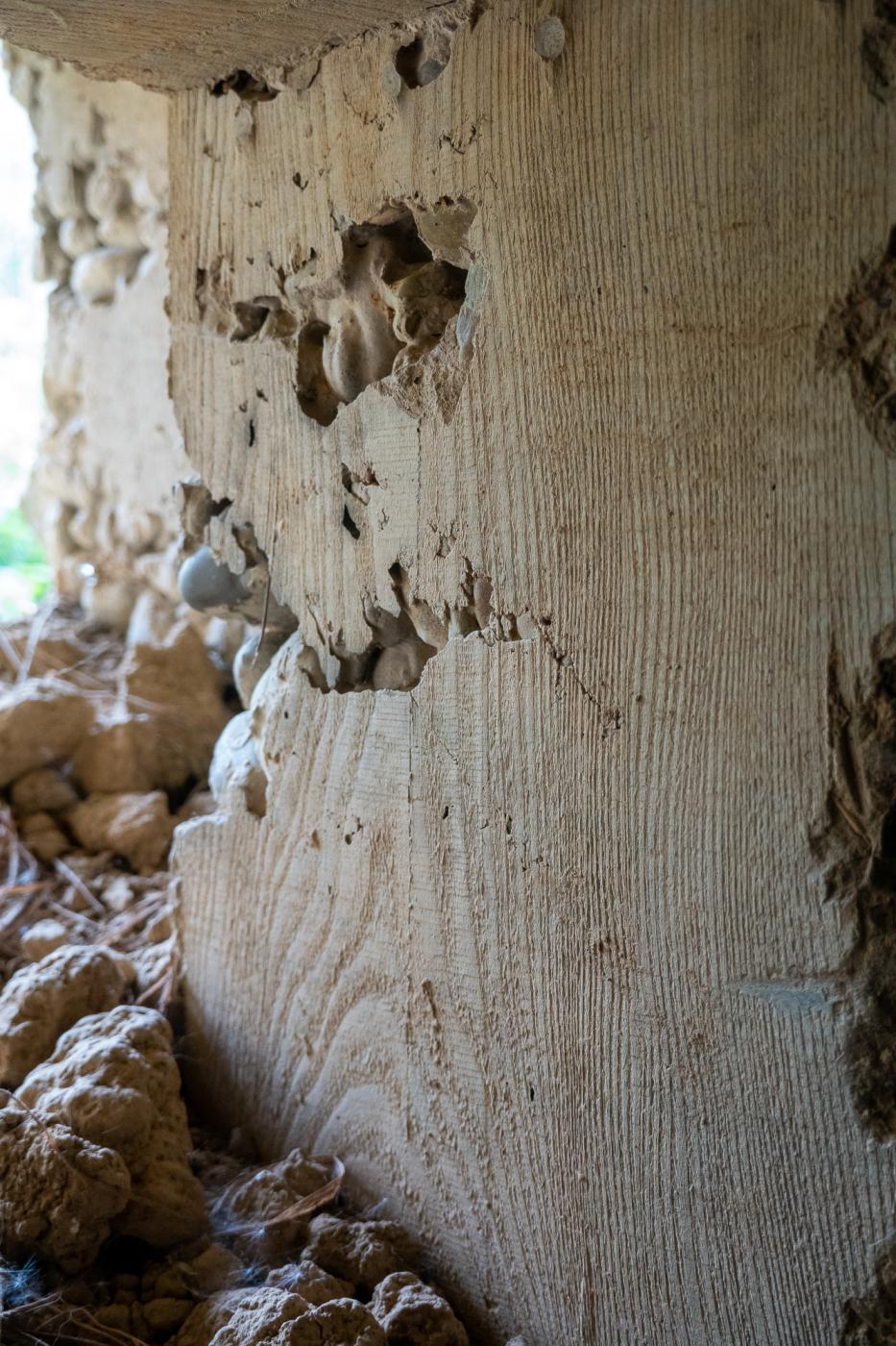 Ligne Maginot - PLAN - (Casemate d'infanterie - Simple) - Les parois de béton portent encore les marques des planches de coffrage - Michel Teiten