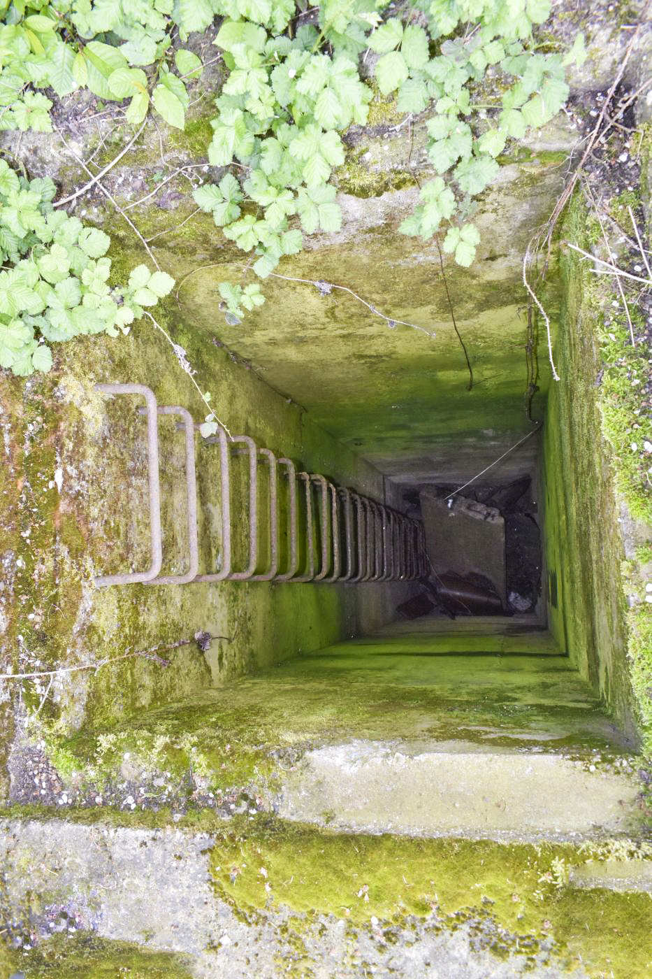 Ligne Maginot - ASCHBACH EST - O2 - (Casemate d'infanterie - Double) - Regard de visite de l'égout - Daniel Froehly