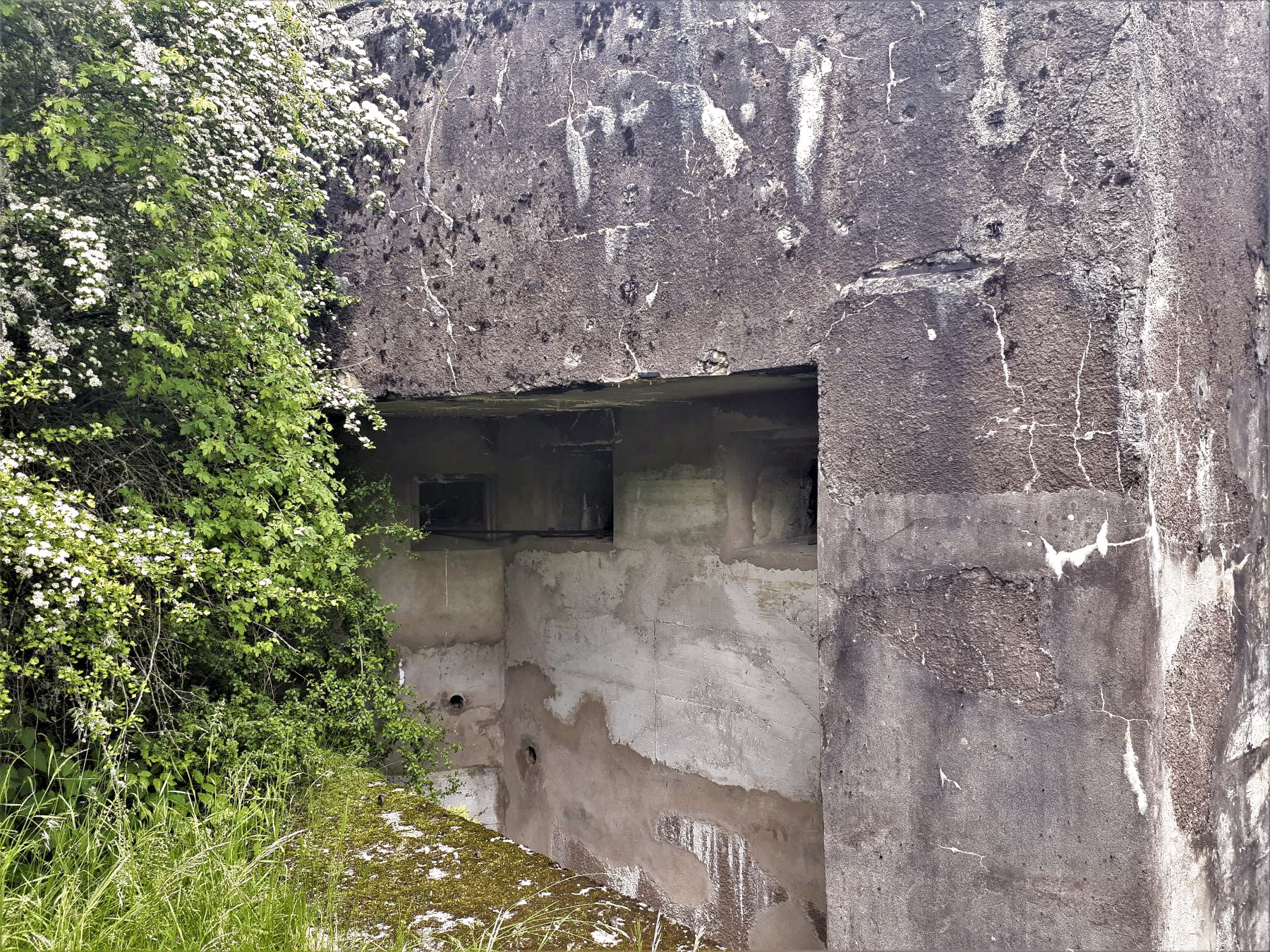 Ligne Maginot - LEMBACH - (Ouvrage d'infanterie) - Bloc 2
Chambre de tir - Gregory Fuchs