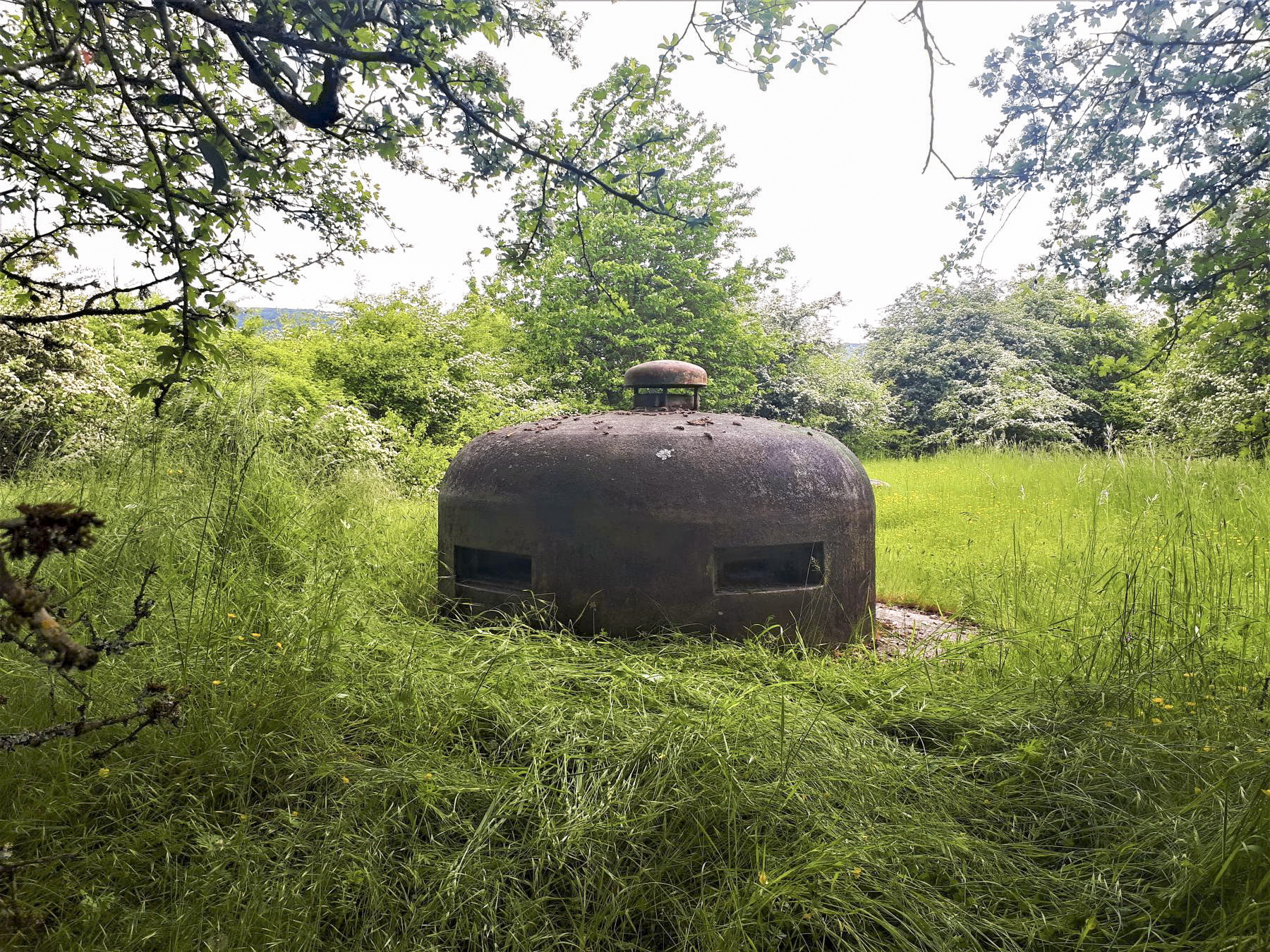 Ligne Maginot - LEMBACH - (Ouvrage d'infanterie) - Bloc 3
Cloche VDP - Gregory Fuchs