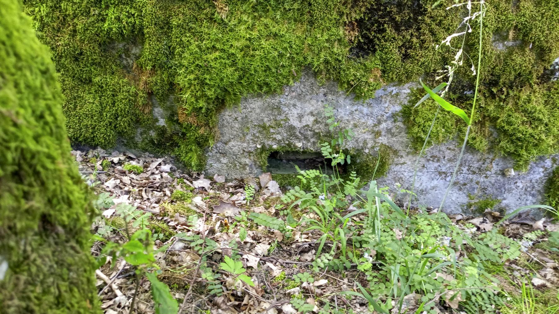 Ligne Maginot - CB225 - BOIS DE CATTENOM 03 - (Blockhaus pour arme infanterie) - Petit créneau  - Marc Fossoul
