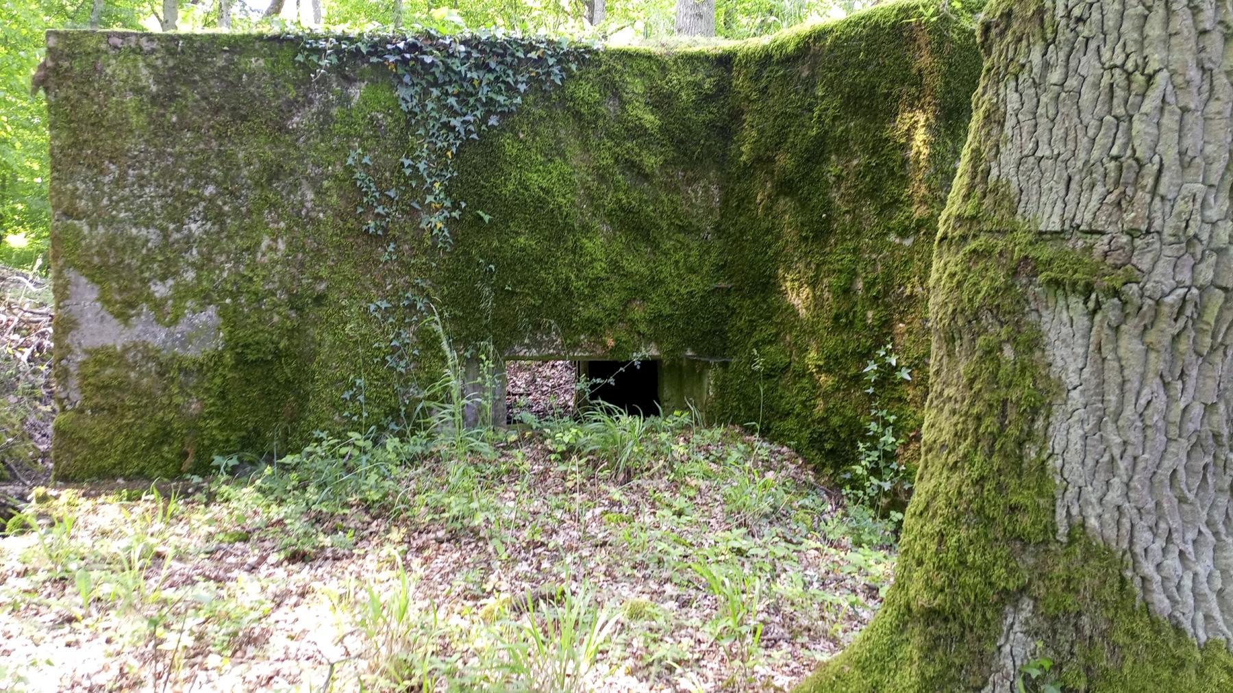 Ligne Maginot - CB286 - BOIS DE CATTENOM 04 - (Blockhaus pour canon) - La façade  - Marc Fossoul