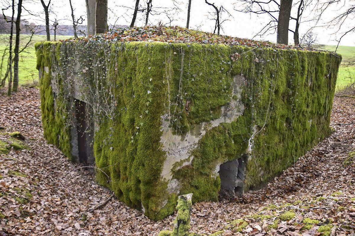 Ligne Maginot - CB286 - BOIS DE CATTENOM 04 - (Blockhaus pour canon) - Vue générale avec les entrées du matériel et des hommes