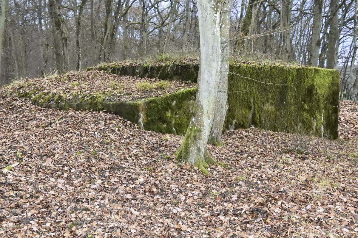 Ligne Maginot - CB225 - BOIS DE CATTENOM 03 - (Blockhaus pour arme infanterie) - 