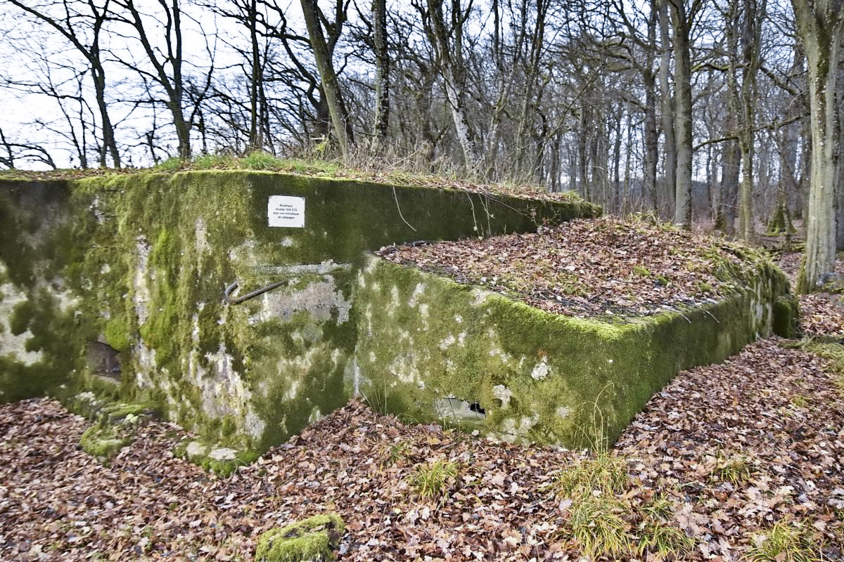 Ligne Maginot - CB225 - BOIS DE CATTENOM 03 - (Blockhaus pour arme infanterie) - 