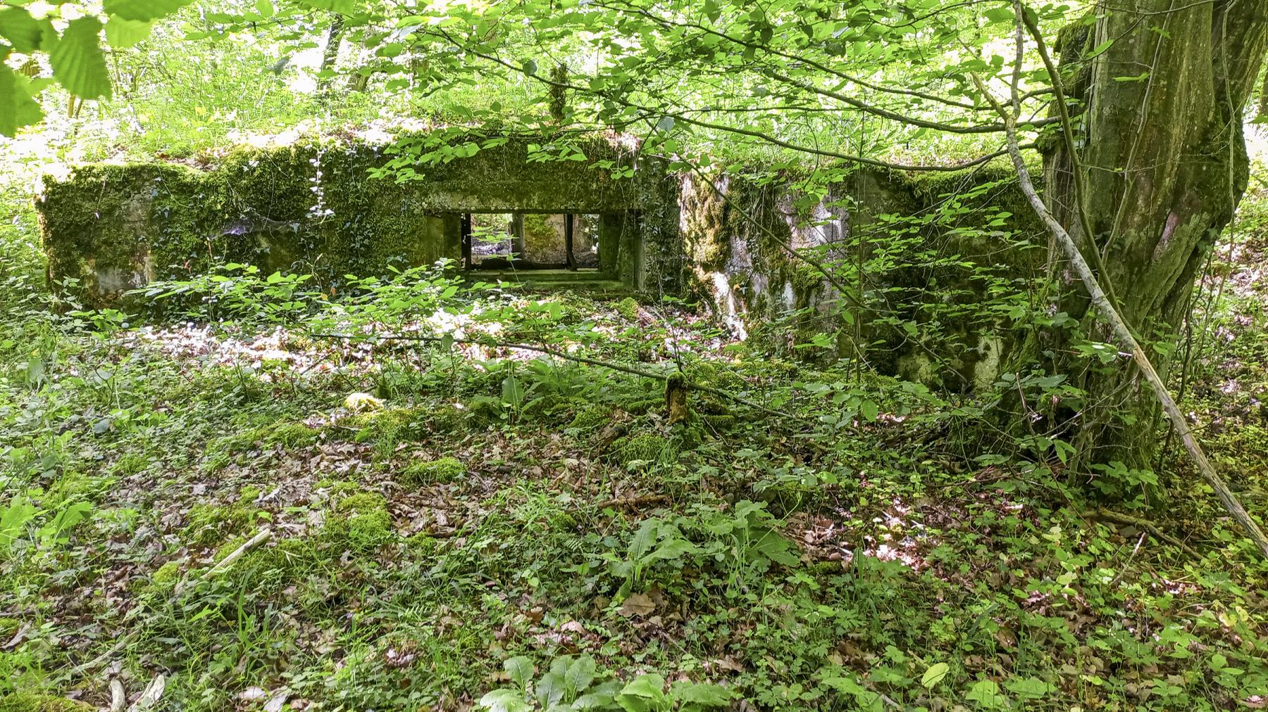 Ligne Maginot - CB224 - BOIS DE CATTENOM 06 - (Blockhaus pour canon) -  - Marc Fossoul