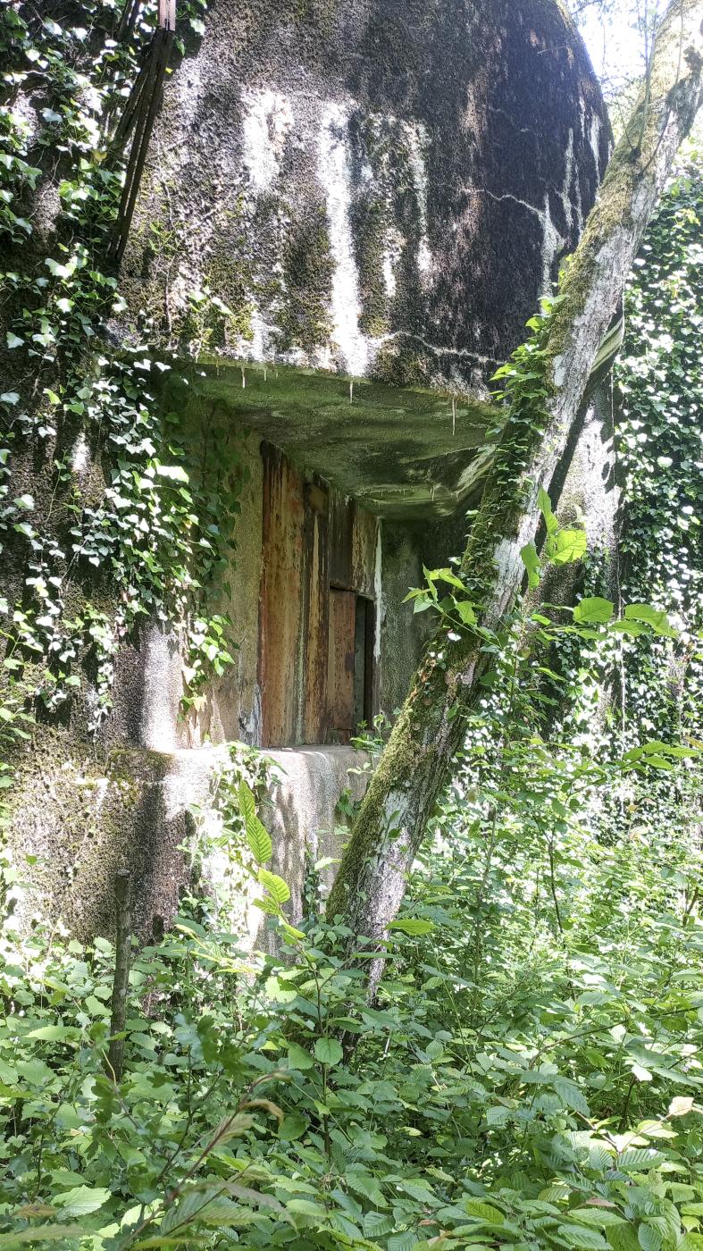 Ligne Maginot - KOBENBUSCH  - A13 - (Ouvrage d'artillerie) - Bloc 7
Une des trois embrasures. - Marc Fossoul