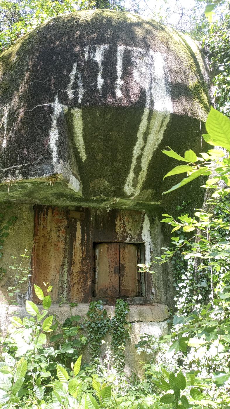 Ligne Maginot - KOBENBUSCH  - A13 - (Ouvrage d'artillerie) - Bloc 7
Une des trois embrasures. - Marc Fossoul