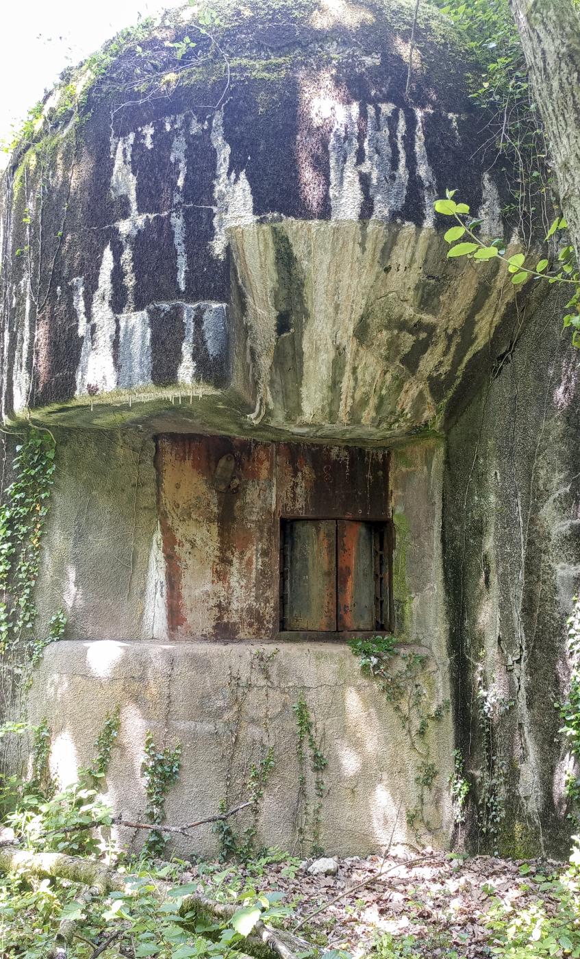 Ligne Maginot - KOBENBUSCH  - A13 - (Ouvrage d'artillerie) - Bloc 7
Une des trois embrasures. - Marc Fossoul