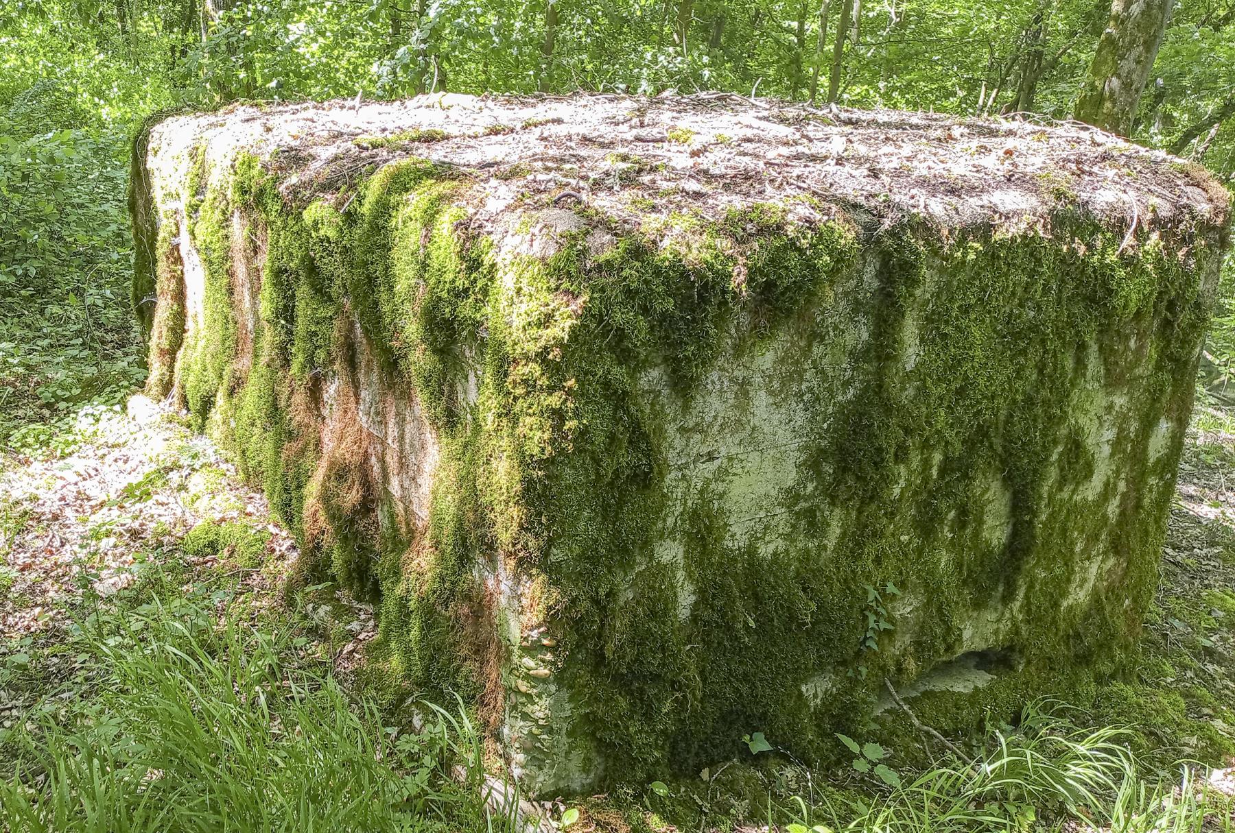 Ligne Maginot - CB434-B - ROCKSWINGERT EST 2 - (Observatoire d'infanterie) -  - Marc Fossoul