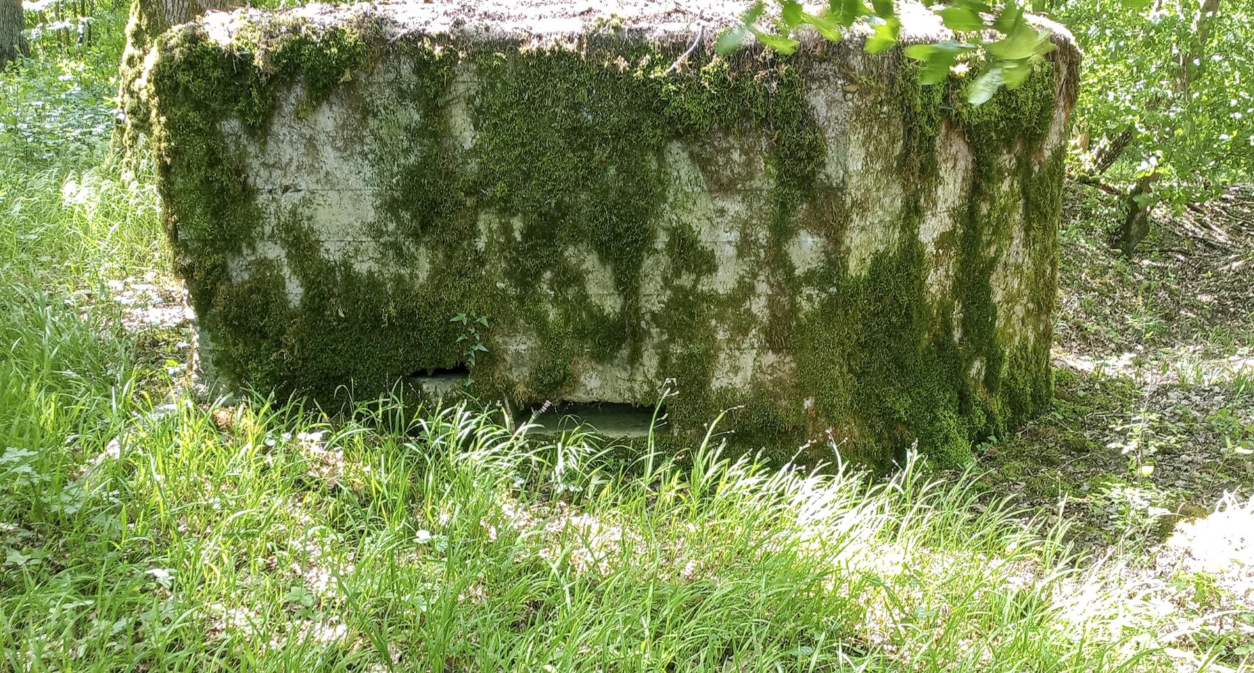 Ligne Maginot - CB434-B - ROCKSWINGERT EST 2 - (Observatoire d'infanterie) -  - Marc Fossoul