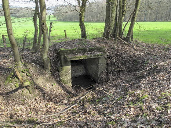 Ligne Maginot - Cb434-C - ROCKSWINGERT Est 1 (Blockhaus pour arme infanterie) - 