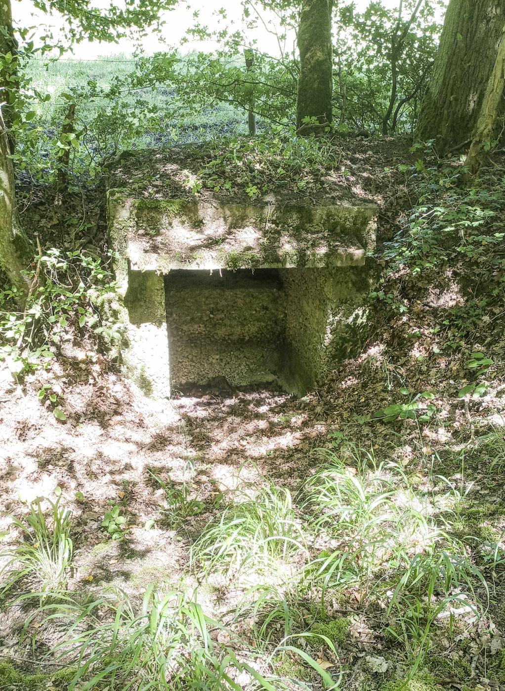 Ligne Maginot - CB434-C - ROCKSWINGERT EST 1 - (Blockhaus pour arme infanterie) -  - Marc Fossoul