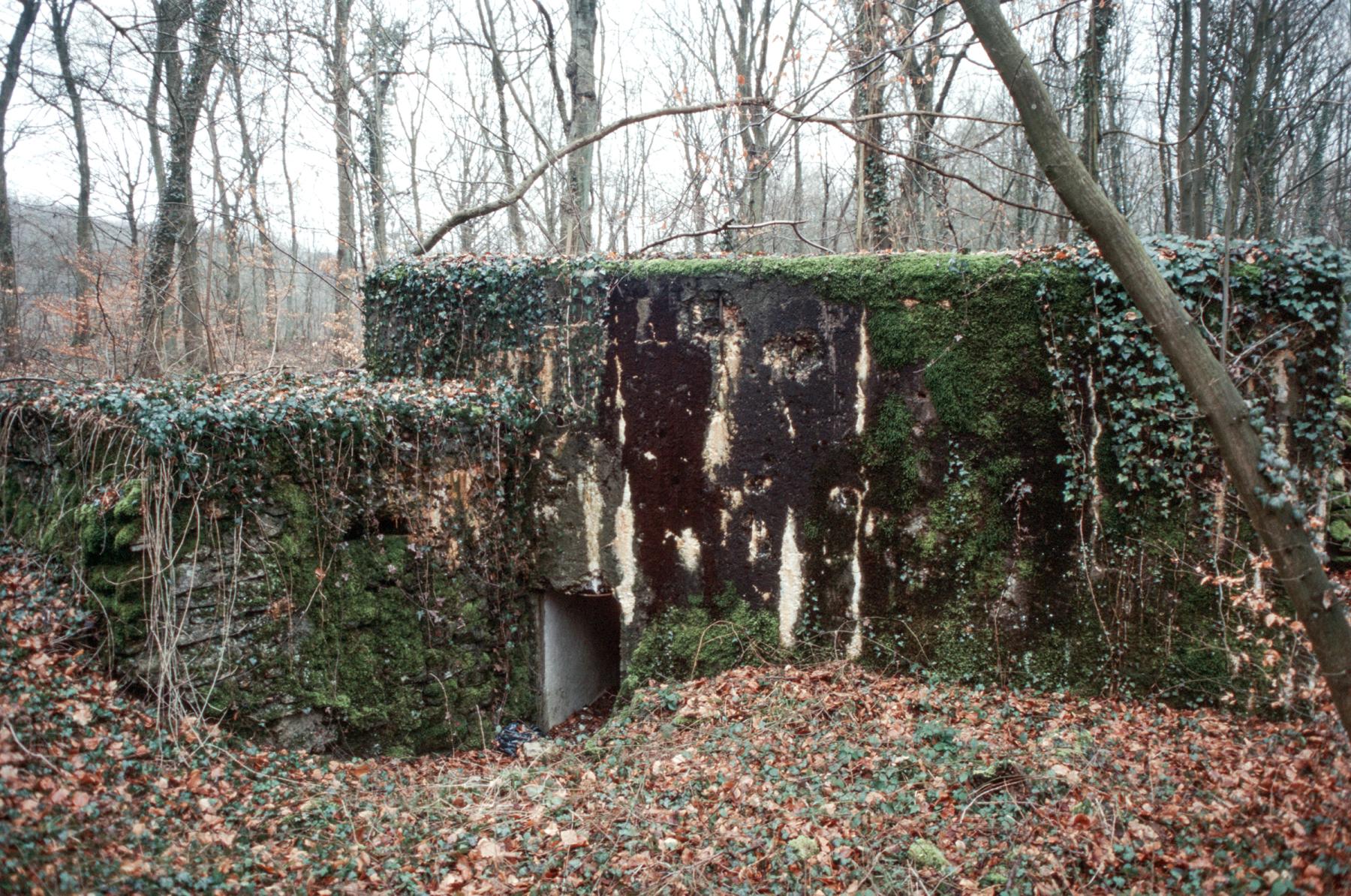 Ligne Maginot - BOIS DE TETING NORD - (Blockhaus pour canon) - L'entrée du personnel - Frédéric Lisch