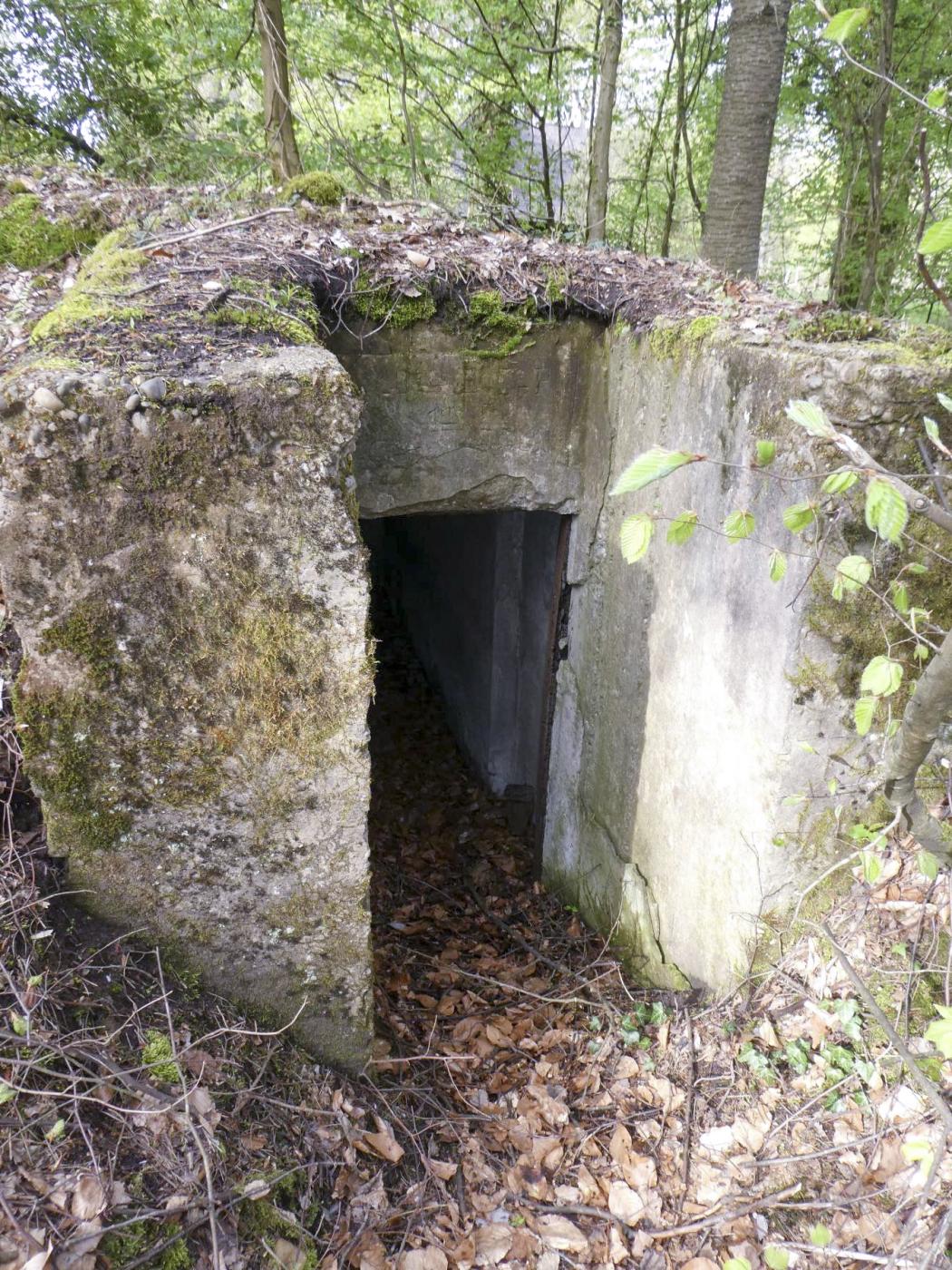 Ligne Maginot - RENDEZ VOUS DE CHASSE 2 - (Blockhaus pour arme infanterie) -  - ELLENA Daniel-CUNY Philippe