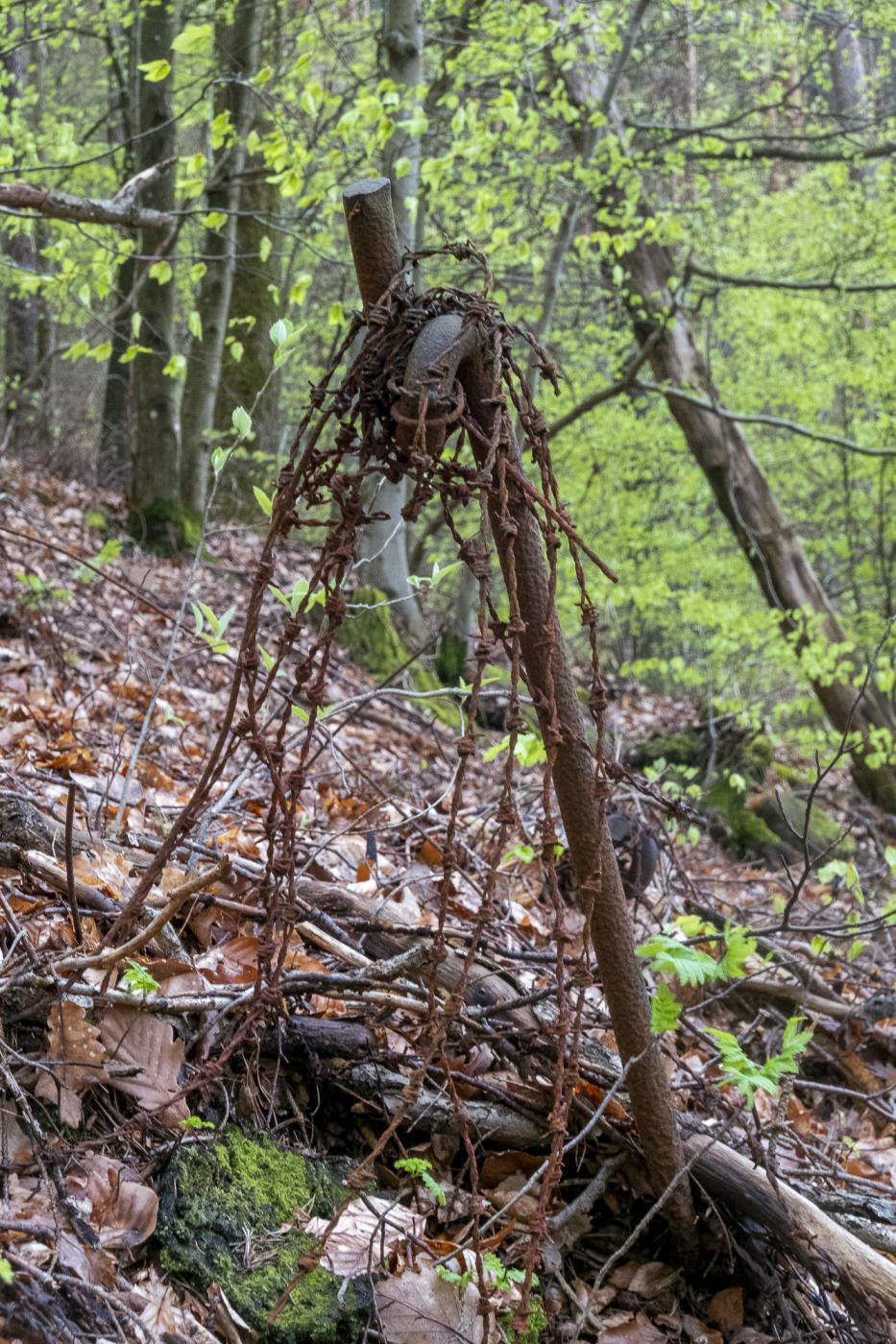 Ligne Maginot - GUNSTHAL COL OUEST - (Blockhaus pour arme infanterie) - Vestiges du réseau de barbelés - Michel Teiten