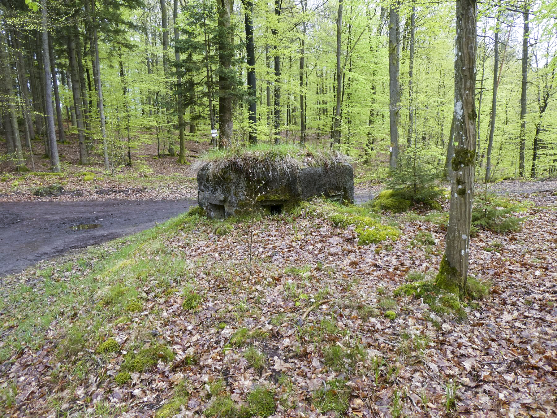 Ligne Maginot - FM38 - DIEBSKOPF 2 - (Blockhaus pour arme infanterie) -  - ELLENA Daniel-CUNY Philippe