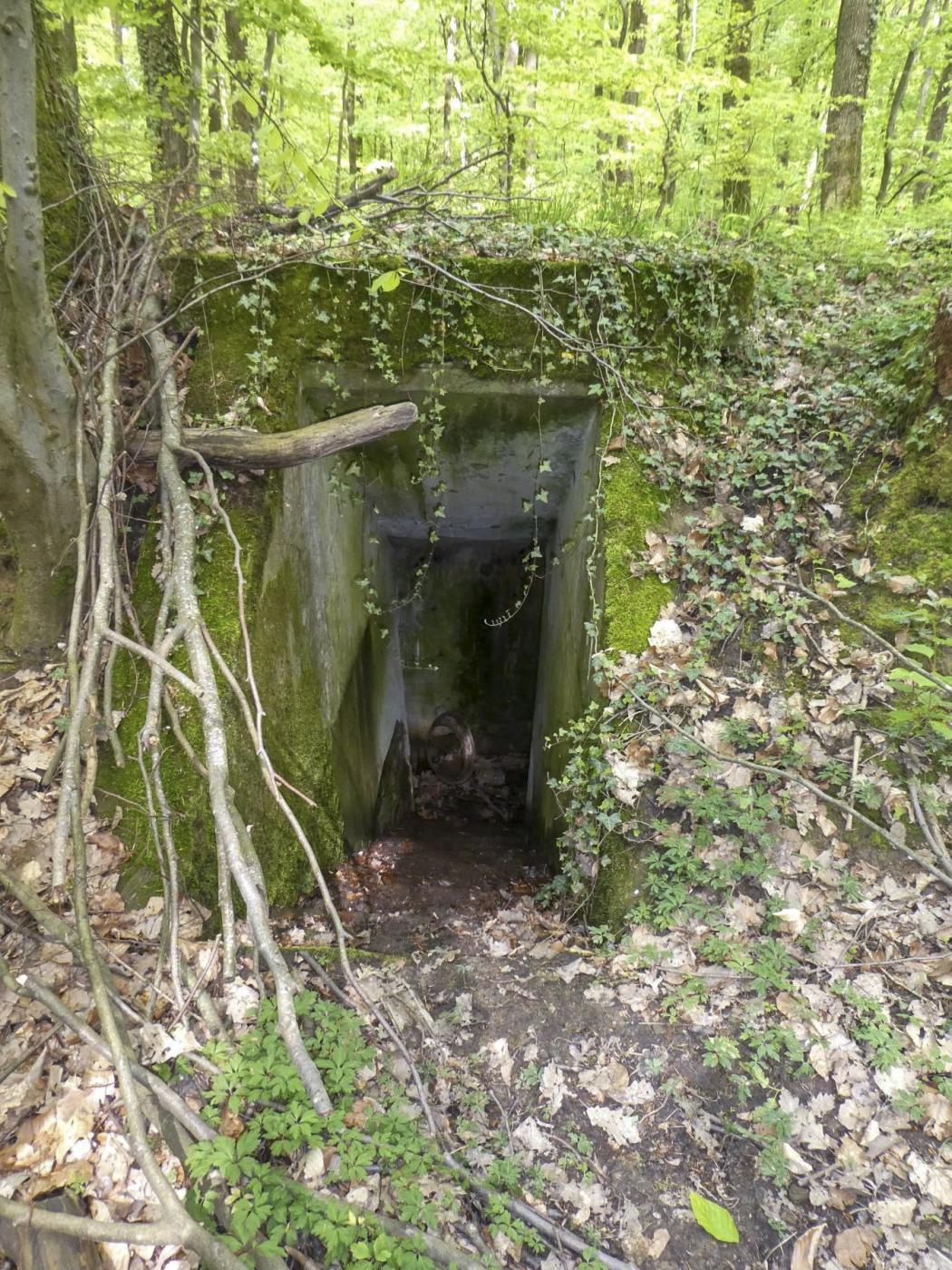 Ligne Maginot - MEMMELSHOFFEN (22° RIF) - (PC de Sous-Secteur) - Entrée - ELLENA Daniel-CUNY Philippe