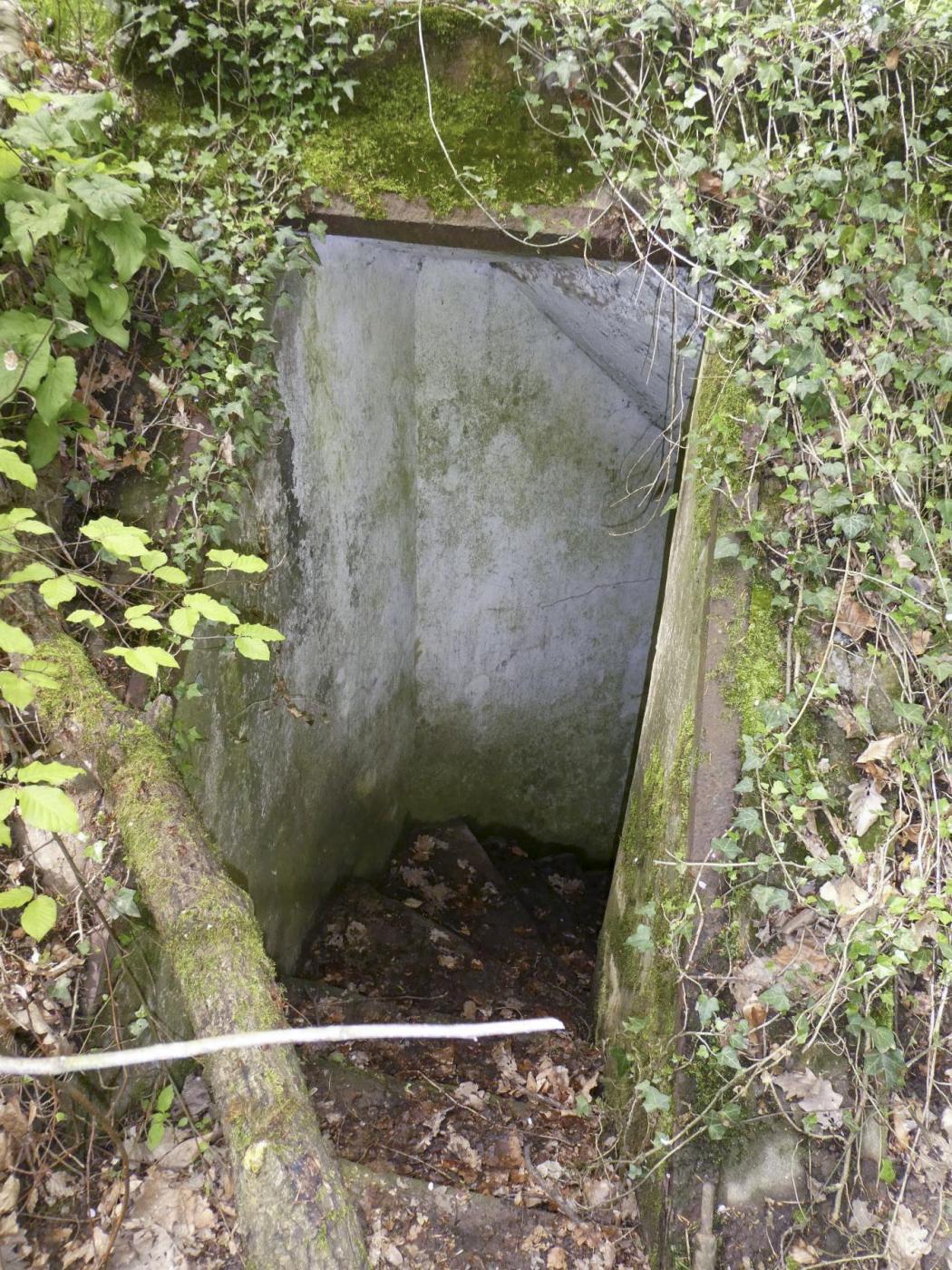 Ligne Maginot - MEMMELSHOFFEN (22° RIF) - (PC de Sous-Secteur) - Entrée - ELLENA Daniel-CUNY Philippe