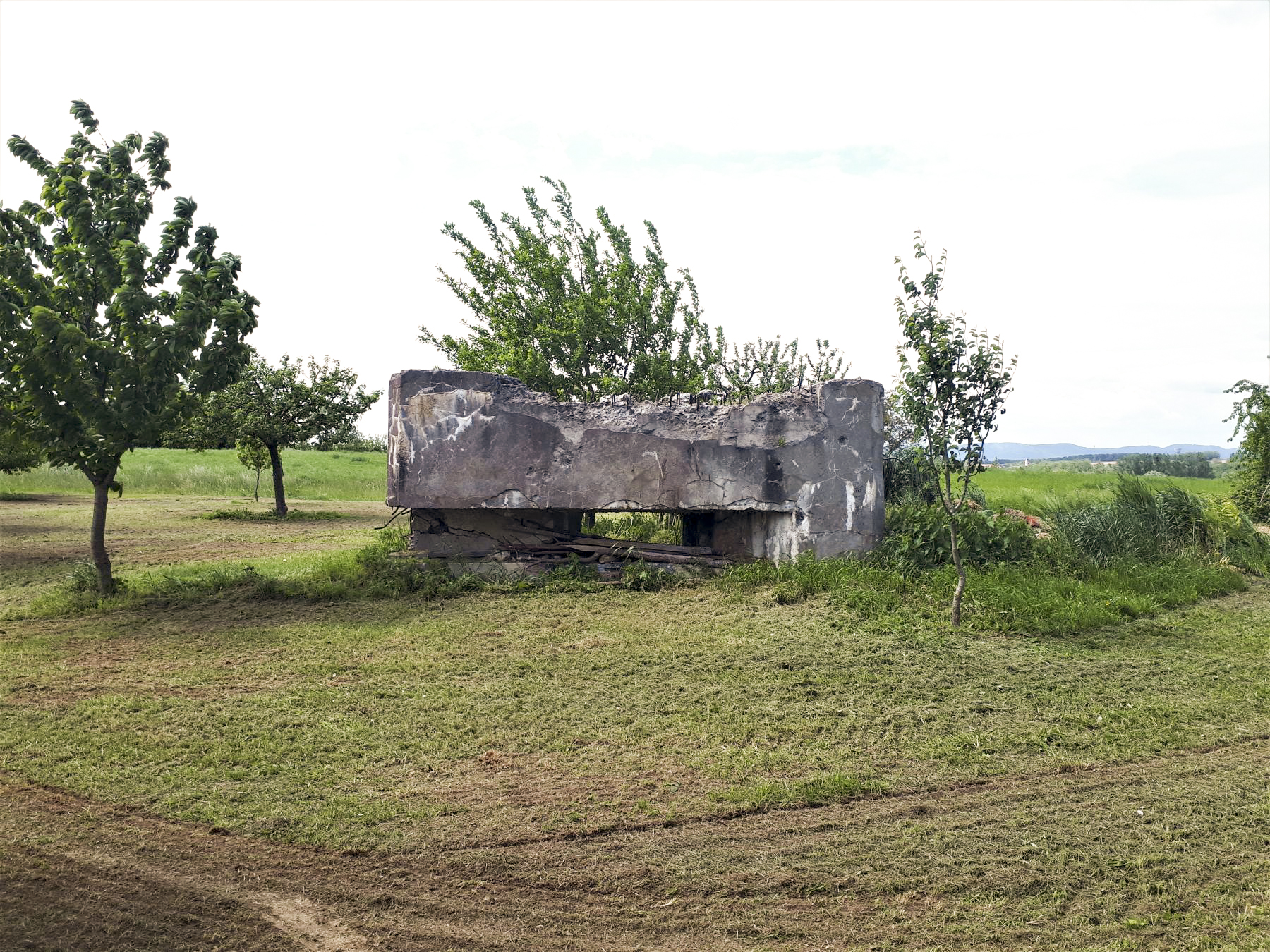 Ligne Maginot - TRAMBACH - (Blockhaus pour arme infanterie) - Façade frontale et créneau - Gregory Fuchs