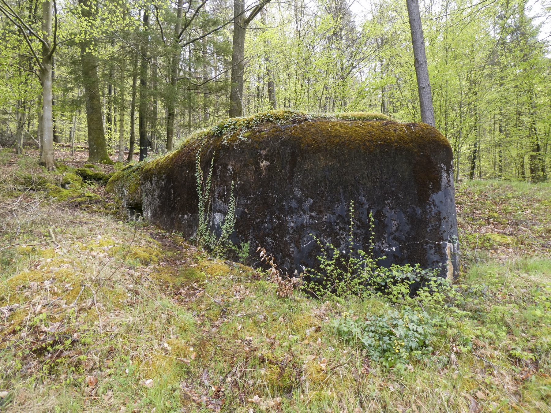 Ligne Maginot - M28 - BETZENTHAL 1 - (Blockhaus pour arme infanterie) - L'orillon de protection du créneau ouest - ELLENA Daniel-CUNY Philippe