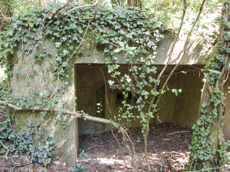 Ligne Maginot - BBO6 - (Blockhaus pour canon) - Vue d'ensemble