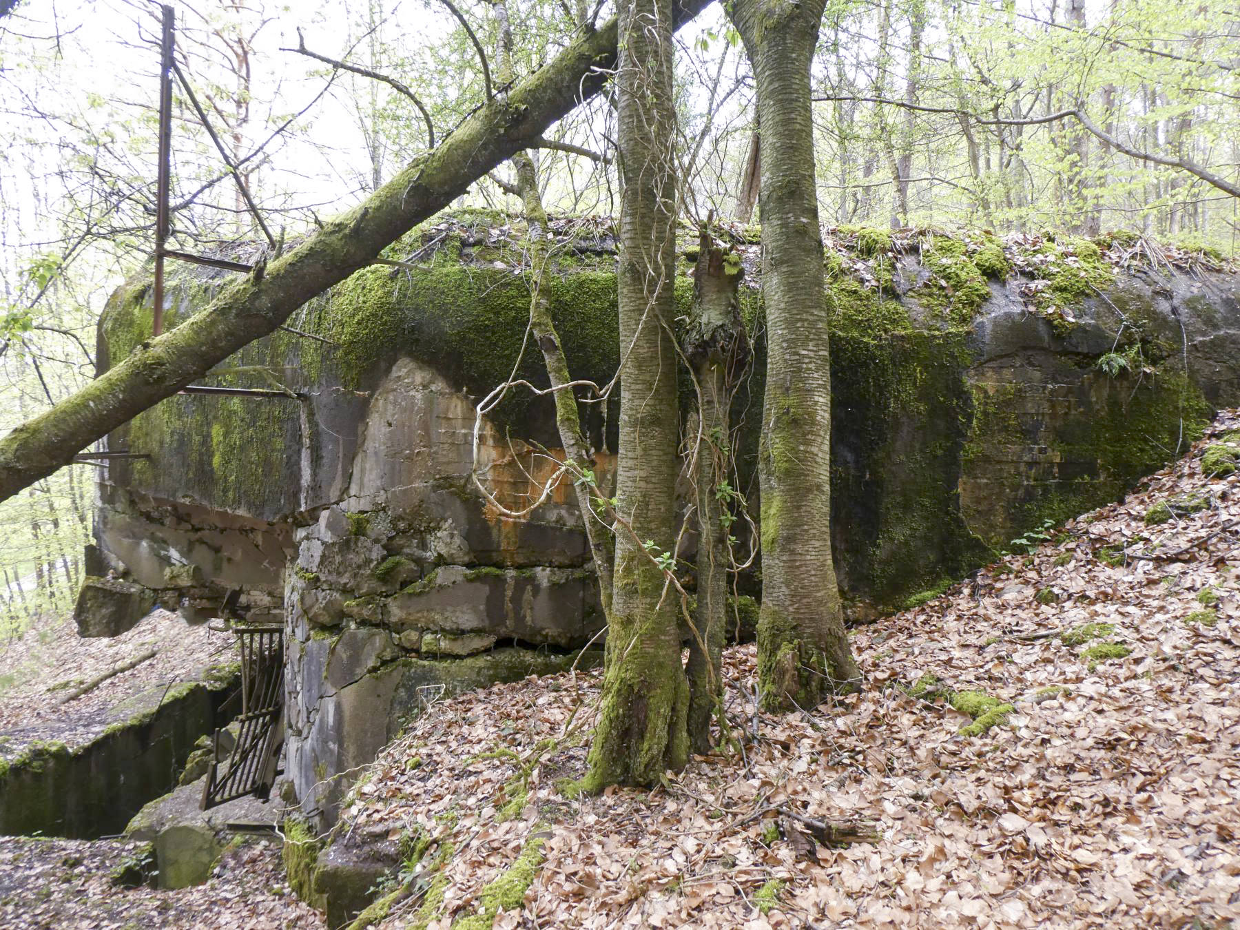 Ligne Maginot - HOCHWALD C1 - (Casemate d'infanterie - Simple) -  - ELLENA Daniel-CUNY Philippe