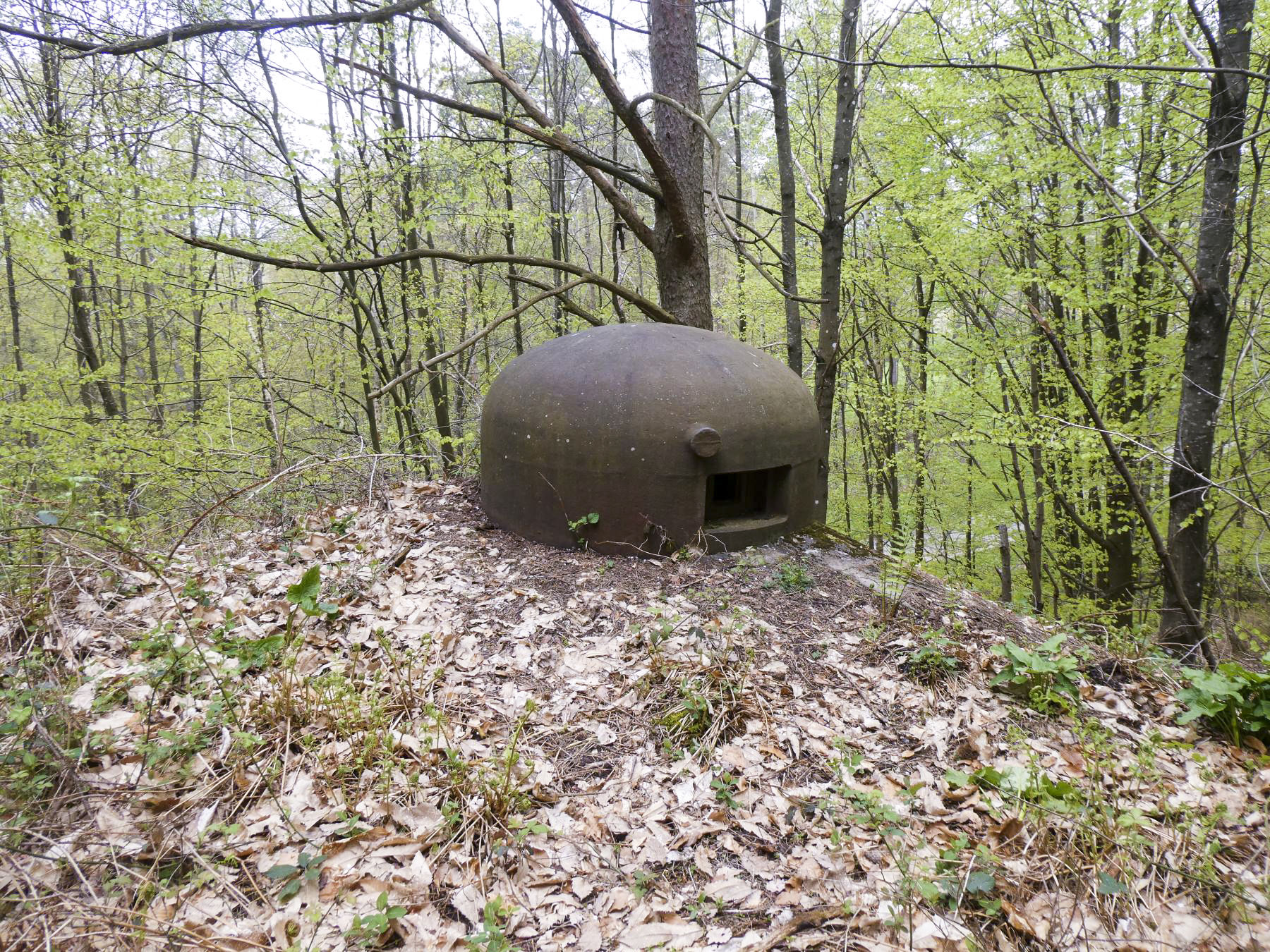 Ligne Maginot - HOCHWALD C1 - (Casemate d'infanterie - Simple) - Cloche GFM - ELLENA Daniel-CUNY Philippe