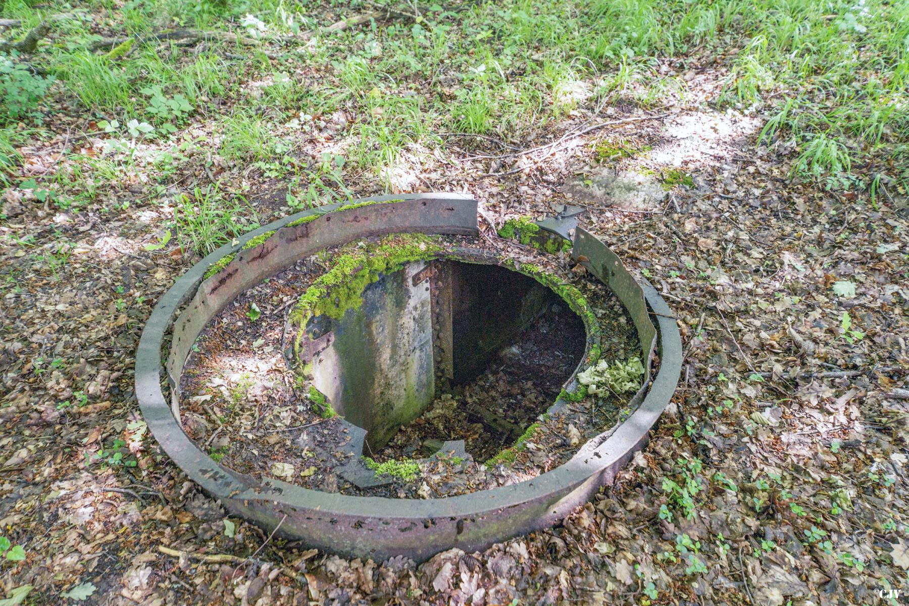 Ligne Maginot - TAUBRUNNENWALD 4 - FT - (Blockhaus pour arme infanterie) -                 - Lia VERMEULEN