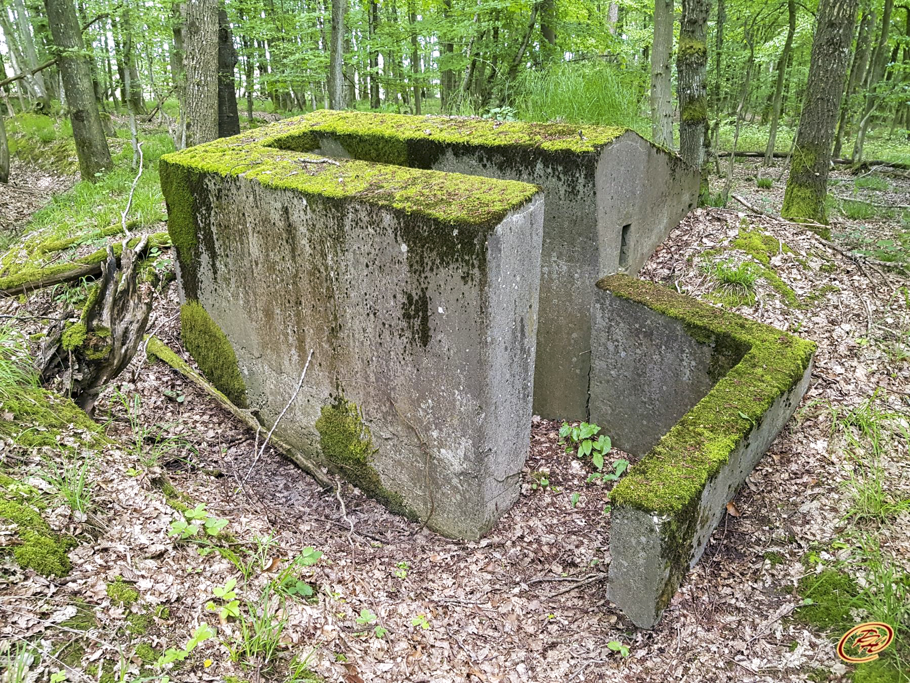 Ligne Maginot - TAUBRUNNENWALD 1 - (Blockhaus pour arme infanterie) -  - Paul HARY