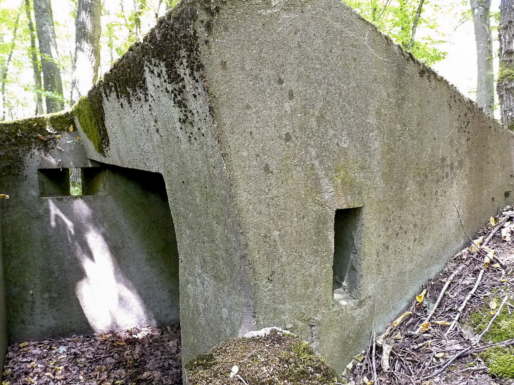 Ligne Maginot - TAUBRUNNENWALD 1 - (Blockhaus pour arme infanterie) - 