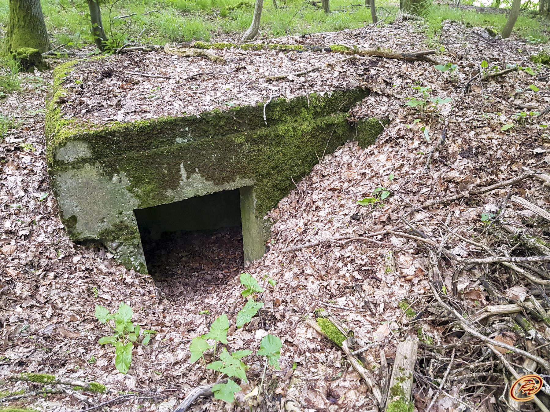 Ligne Maginot - TAUBRUNNENWALD 5 - (Blockhaus pour arme infanterie) -  - Paul HARY